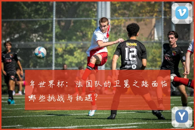 年世界杯:法国队的卫冕之路面临哪些挑战与机遇?