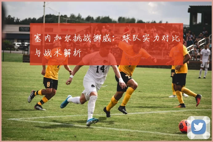 塞内加尔挑战挪威：球队实力对比与战术解析