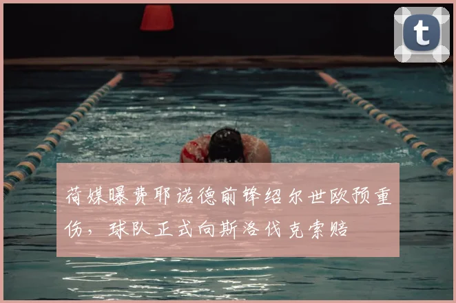 荷媒曝费耶诺德前锋绍尔世欧预重伤,球队正式向斯洛伐克索赔